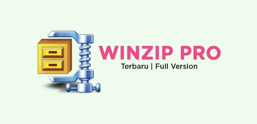 Download Winzip Pro Full Version