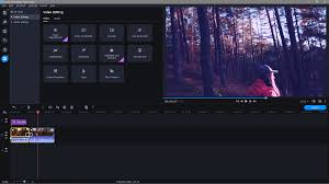 Movavi Video Editor Plus