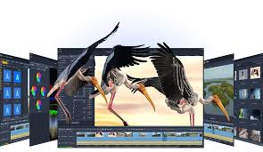 Pinnacle Studio Ultimate