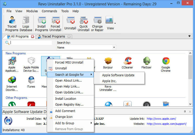 Download Revo Uninstaller Pro Gratis Full